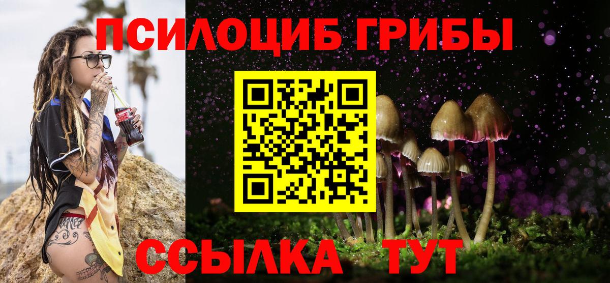 Зеленодольск  Галлюциногенные грибы Cubensis  Вход с VPN 
